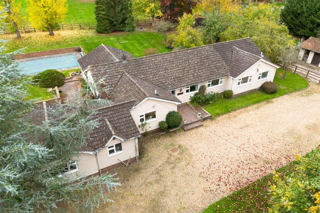 Old Mead Road, Henham, Bishop's... 5 bed bungalow for sale