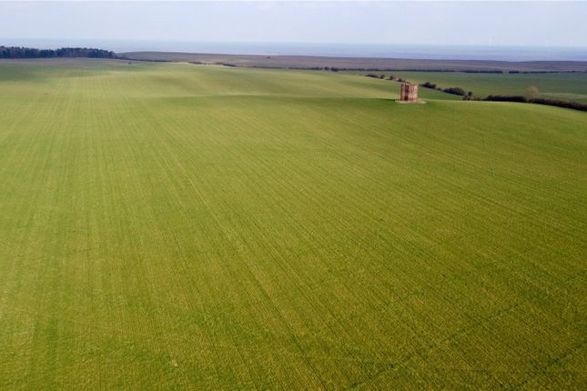 Land At Hilston, Hilston, Hull, East... Land for sale