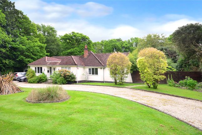 Furnace Wood, Felbridge, East... 5 bed detached house for sale