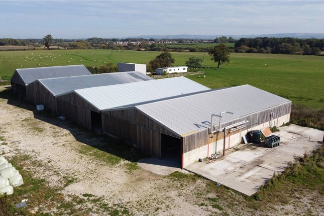 Meadowbank Farm, Scoreby, Gate... Land for sale