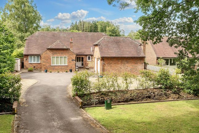School Lane, Stedham, GU29 4 bed detached bungalow for sale