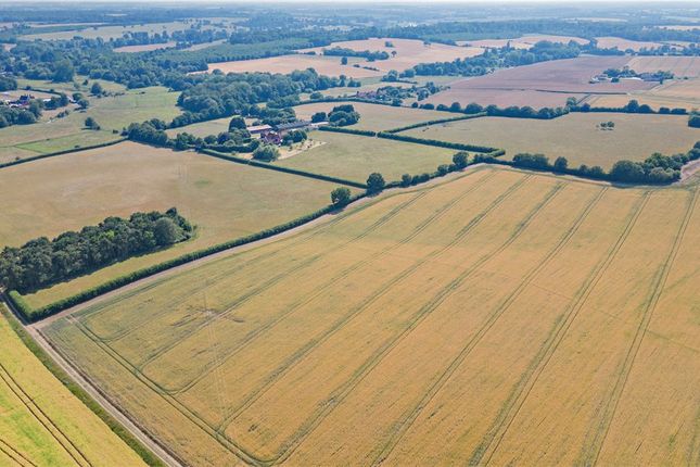 Cookley, Halesworth, Suffolk, IP19 Equestrian property for sale