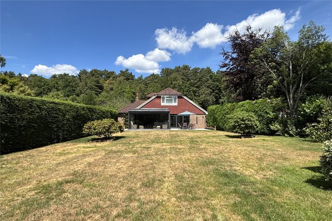 Grayshott Road, Hampshire GU35 4 bed bungalow for sale