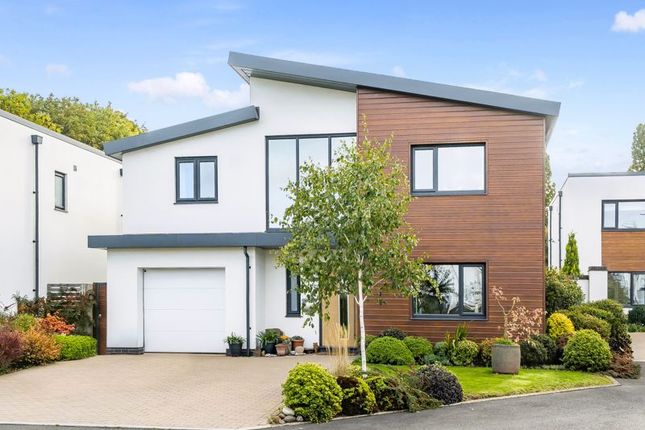 Holland Park, Exeter 4 bed detached house for sale