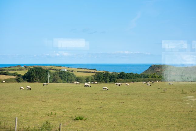 Porteath Bee Centre, St Minver Land for sale