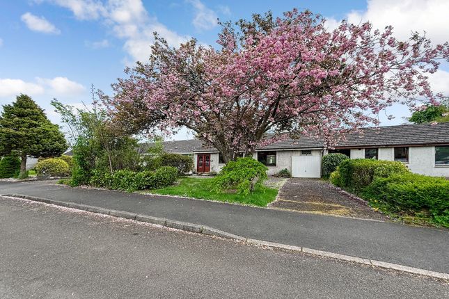 Cairns Place, Muckart, Dollar 3 bed bungalow for sale