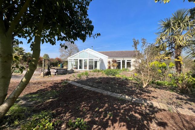 Hinton Road, Darsham 3 bed detached bungalow for sale