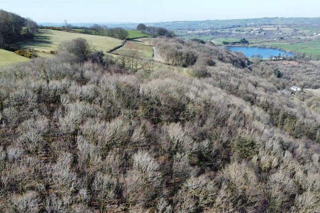 Pencarreg, Llanybydder Land for sale