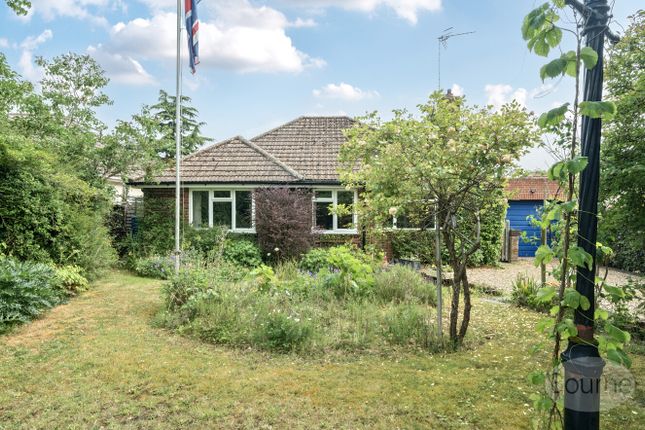 Lower Froyle, Alton, Hampshire, GU34 3 bed bungalow for sale