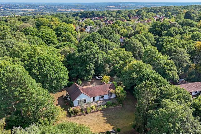 Colam Lane, Little Baddow, CM3 3 bed bungalow for sale