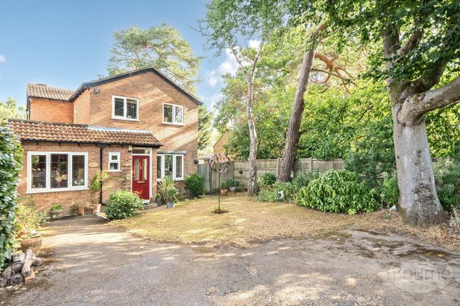 Argyle Close, Whitehill, Bordon... 4 bed detached house for sale