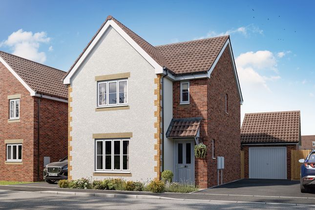 Plot 268, The Sherwood at Persimmon @... 3 bed detached house for sale