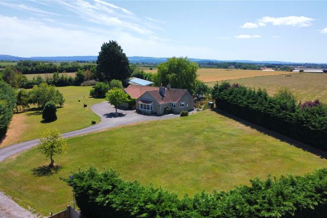 Stour Lane, Stour Provost... Bungalow for sale