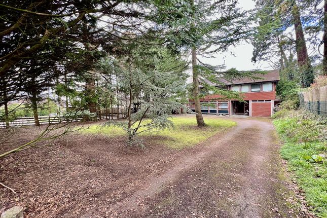 5 bed detached house