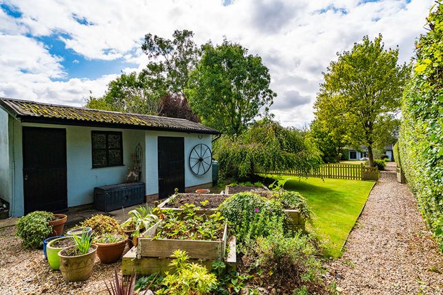 Peter Street, Ingatestone CM4 3 bed semi