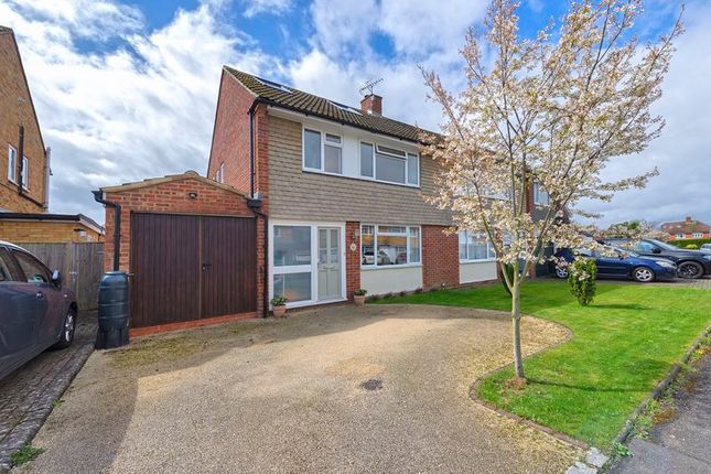 Forest Road, Paddock Wood TN12 4 bed semi