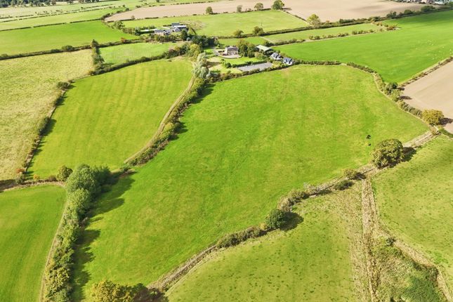 Equestrian facility for sale