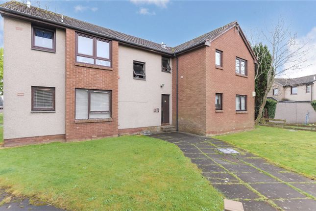 1 bed flat