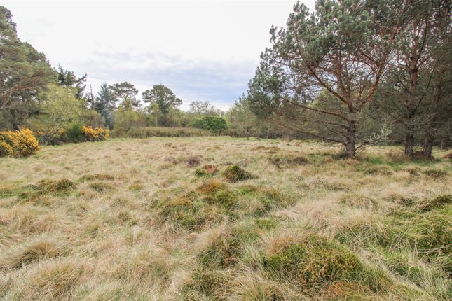 Croft 2, 10, 30 & 34, Backies, Golspie Cottage for sale