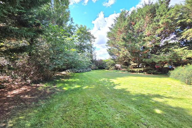Land for sale