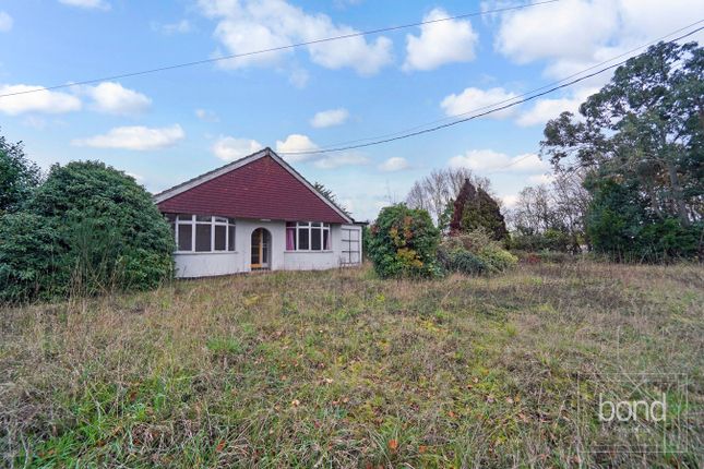 3 bed detached bungalow