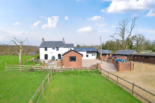 Drove End, Martin, Fordingbridge SP6 6 bed equestrian property for sale