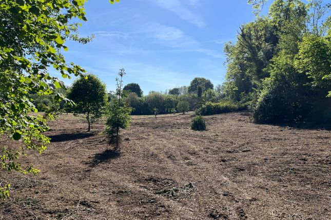 Land for sale