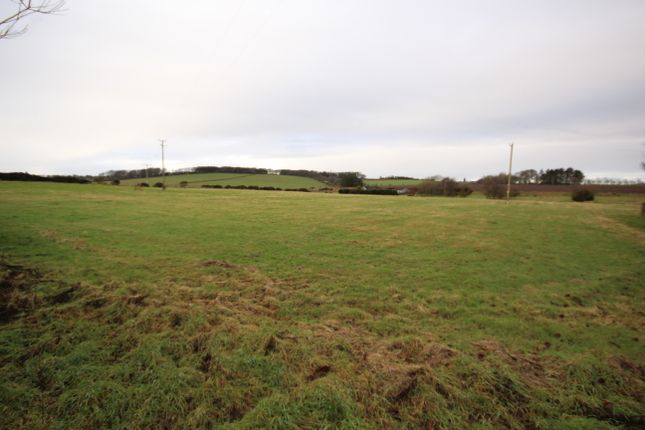 Land
