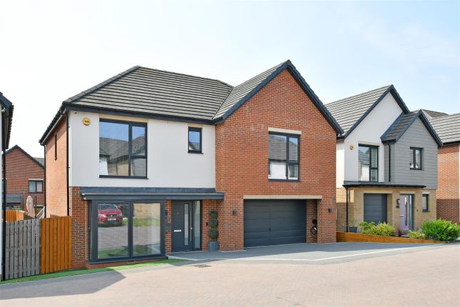 Oak Dene Way, Waverley S60 5 bed house for sale
