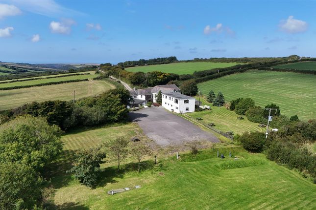 12 bed property