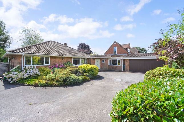 Ewhurst Road, Cranleigh 4 bed detached bungalow for sale