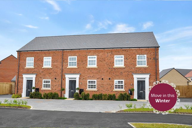 Plot 293, The Eveleigh at Linden... 3 bed terraced house for sale