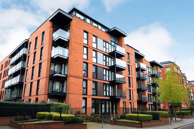 1 bed flat