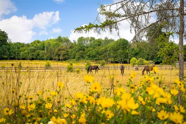 Chalk Lane, East Horsley... 3 bed detached house for sale