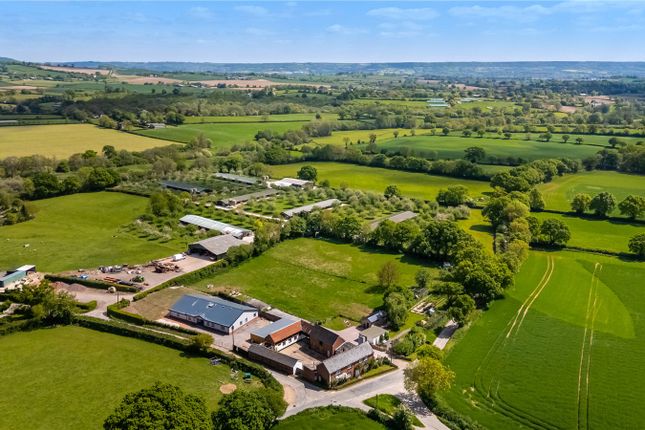Plymtree, Cullompton, Devon, EX15 6 bed equestrian property for sale