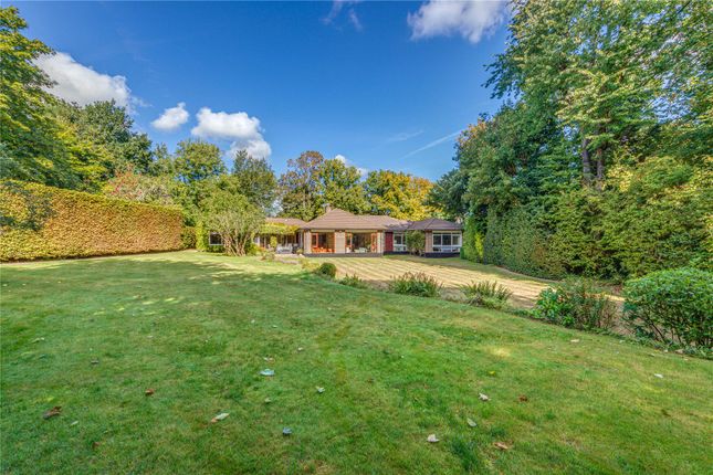 Loom Lane, Radlett, Hertfordshire, WD7 5 bed bungalow for sale