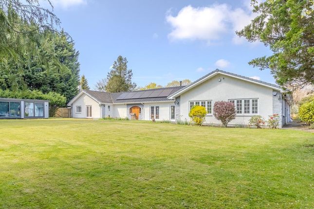 The Lane, Dullatur, G68 0AU 5 bed detached villa for sale