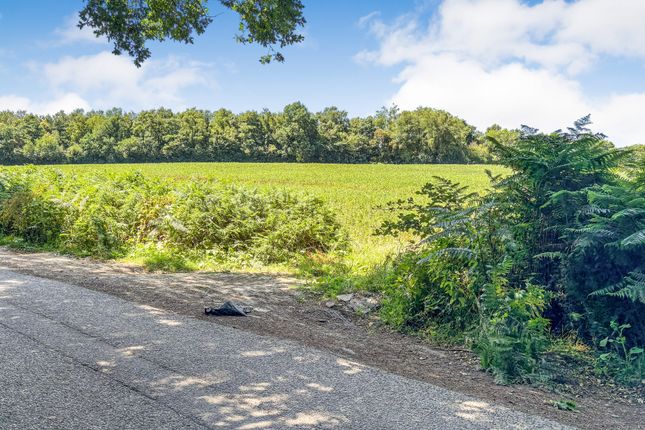 Riccards Lane, Whatlington, TN33 Land for sale