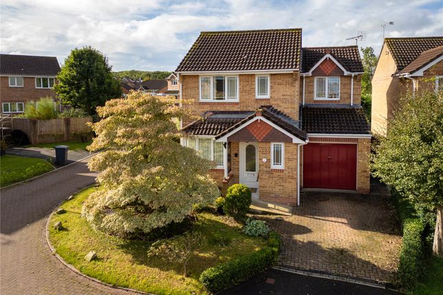 Woodlark Lane, Roundswell, Barnstaple 3 bed detached house for sale
