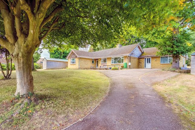 Roundabout Lane, Mardley Heath... 5 bed bungalow for sale