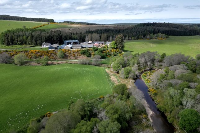 Dallas IV36 Farm for sale