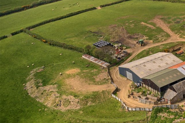 South Molton, Devon, EX36 8 bed property with land for sale
