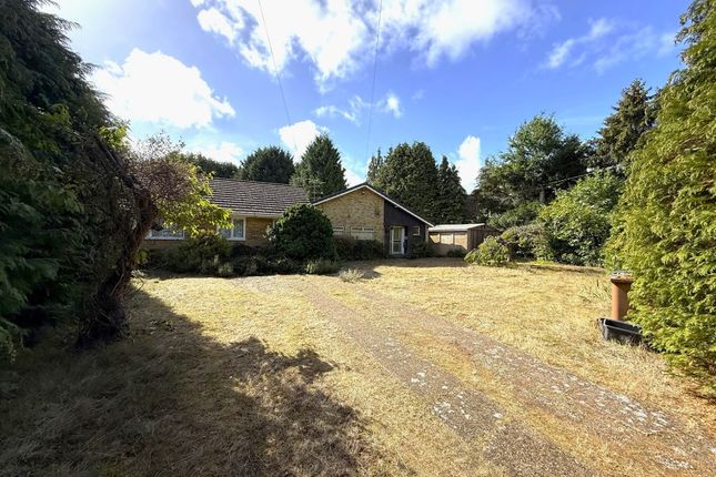 Drift Road, Whitehill GU35 5 bed detached bungalow for sale