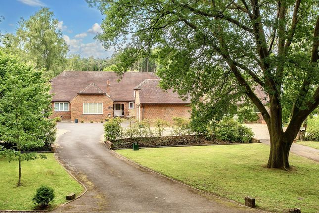 School Lane, Stedham, GU29 4 bed detached bungalow for sale