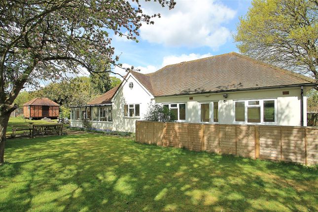 Bush Lane, Send, Surrey, GU23 4 bed bungalow for sale