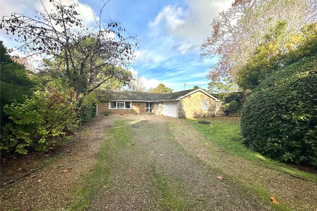 Pine Drive, St. Ives, Ringwood, BH24 4 bed bungalow for sale