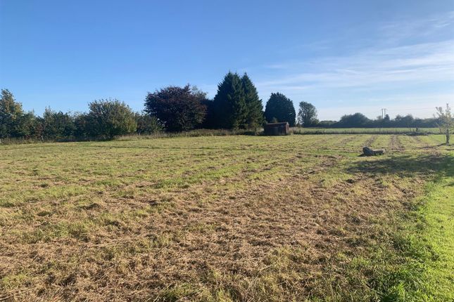 Plot for sale