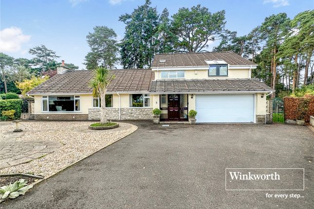 Old Pines Close, Dorset BH22 5 bed detached house for sale