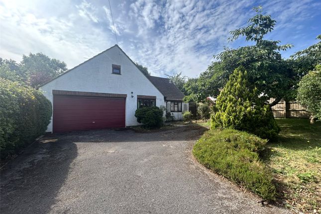 Tatworth Street, Tatworth, Chard... 4 bed bungalow for sale