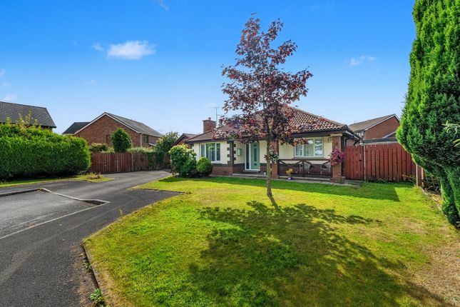 3 bed bungalow